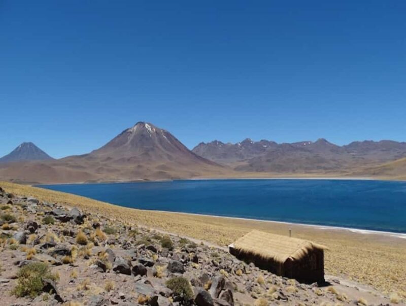 From San Pedro de Atacama: Lagoons and Piedras Reds - The Talar Salt Flat and Piedras Rojas