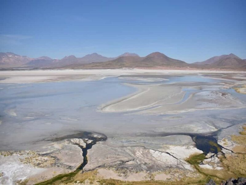 From San Pedro de Atacama: Lagoons and Piedras Reds - Practical Aspects and Experience Quality
