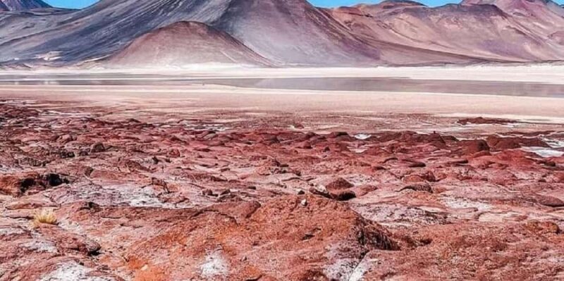 From San Pedro de Atacama: Lagoons and Red Stones - The Experience & Practical Tips