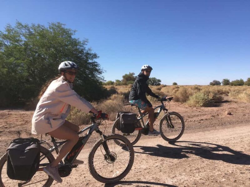 From San Pedro de Atacama: Laguna Cejar E-biking Adventure - Key Points