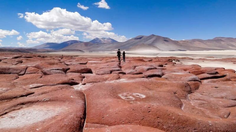 From San Pedro de Atacama: Red Stones and Altiplanic Lagoons - Who Should Consider This Tour?