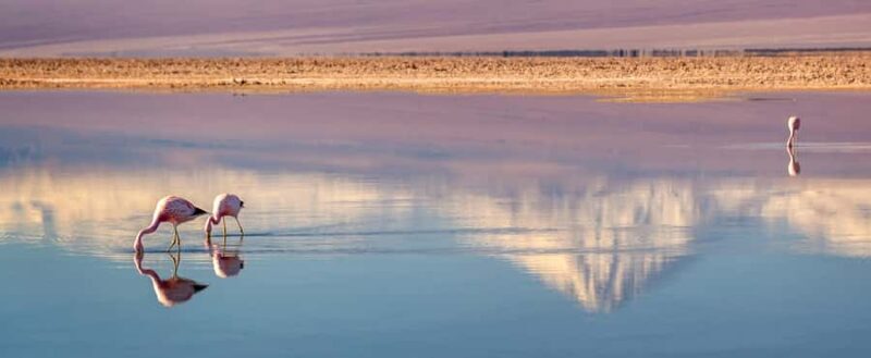From San Pedro de Atacama: Red Stones and Altiplanic Lagoons - FAQ