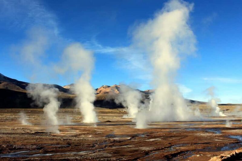 From San Pedro de Atacama: Tatio Geysers and Machuca Tour - Key Points