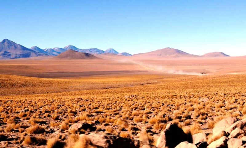 From San Pedro de Atacama: Tatio Geysers and Machuca Tour - FAQ