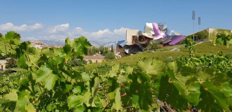 From San Sebastian/Bilbao/Vitoria: La Rioja Wineries Tour - An In-Depth Look at the La Rioja Wineries Tour