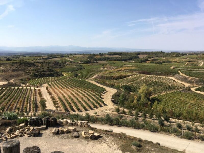 From San Sebastian/Bilbao/Vitoria: Rioja Wine Tour w/ Lunch - Who This Tour Is Perfect For