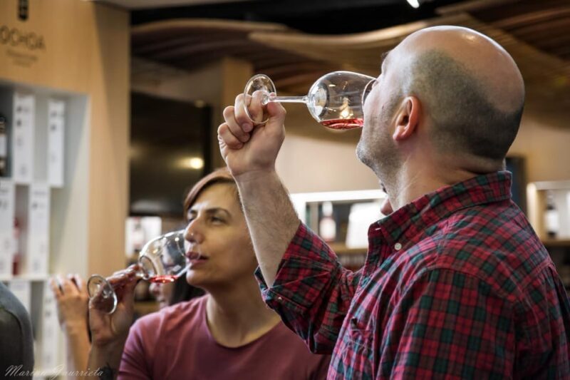 From San Sebastian/Bilbao/Vitoria: Rioja Wine Tour w/ Lunch - Scenic Drive and Small-Town Charm