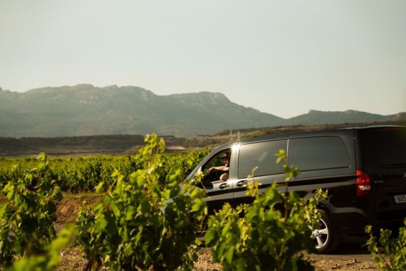From San Sebastián: La Rioja Wine Region Day Tour - A Deep Dive into the La Rioja Day Tour