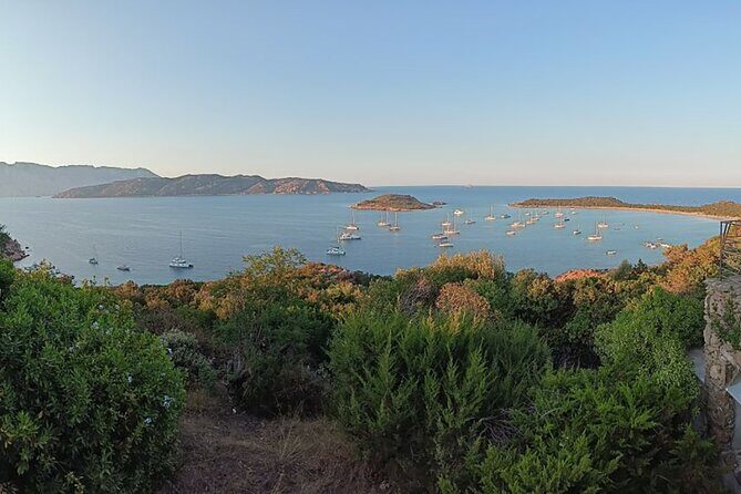 From San Teodoro Mini Tour of the Tavolara Archipelago - Final Thoughts