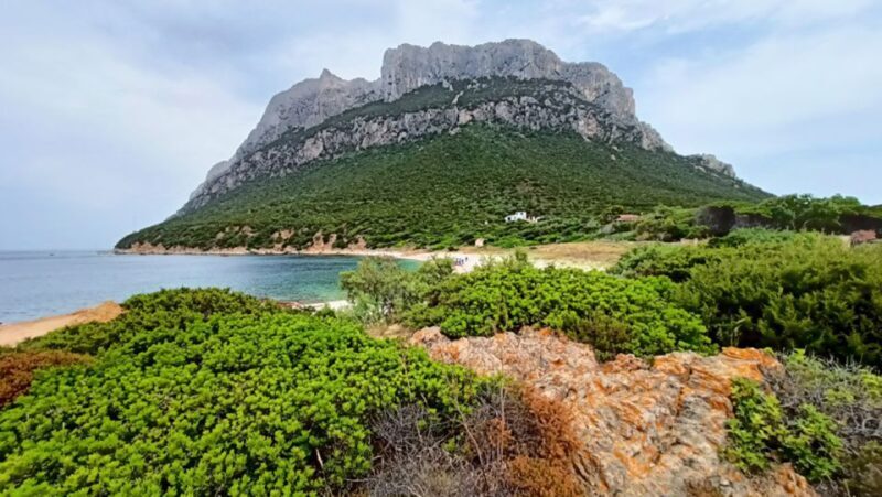 From San Teodoro: Tavolara Archipelago Dinghy Mini Tour - Who Should Consider This Tour