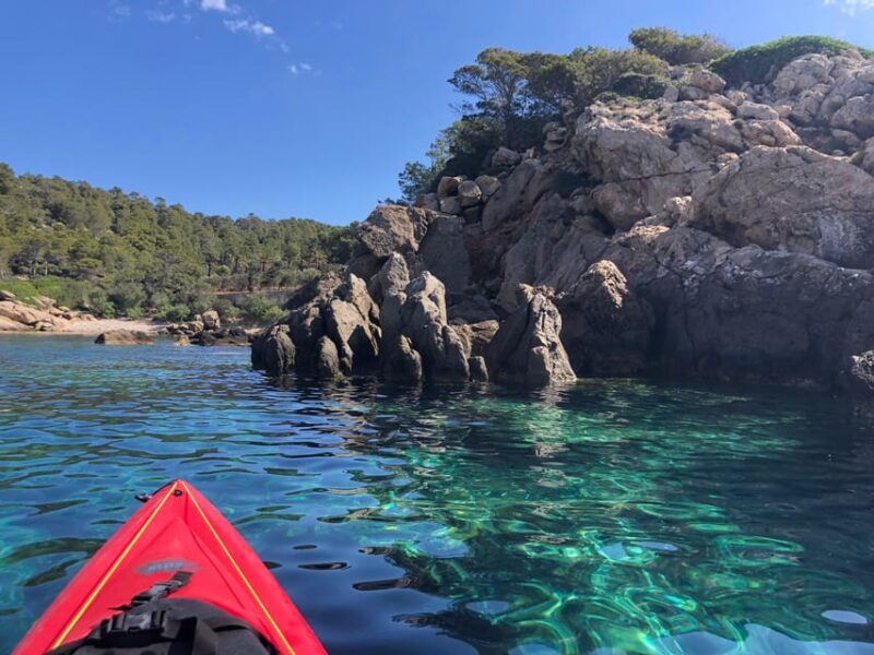 From Sant Elm: kayak tour into the sunset - picnic included - An In-Depth Look at the Sant Elm Sunset Kayak Tour