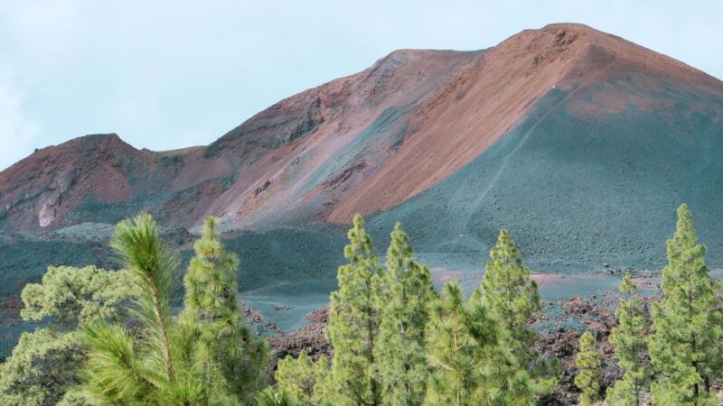 From Santa Cruz: Teide Volcano, Icod, & Garachico Tour - FAQs