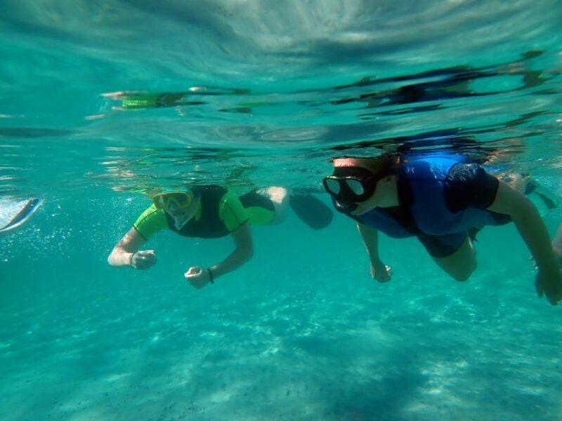From Santa Pola: Snorkel Trip in Tabarca Island - From Santa Pola: Snorkel Trip in Tabarca Island