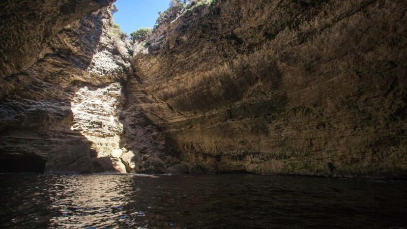 From Santa Teresa Gallura: dinghy tour to Corsica - Key Points