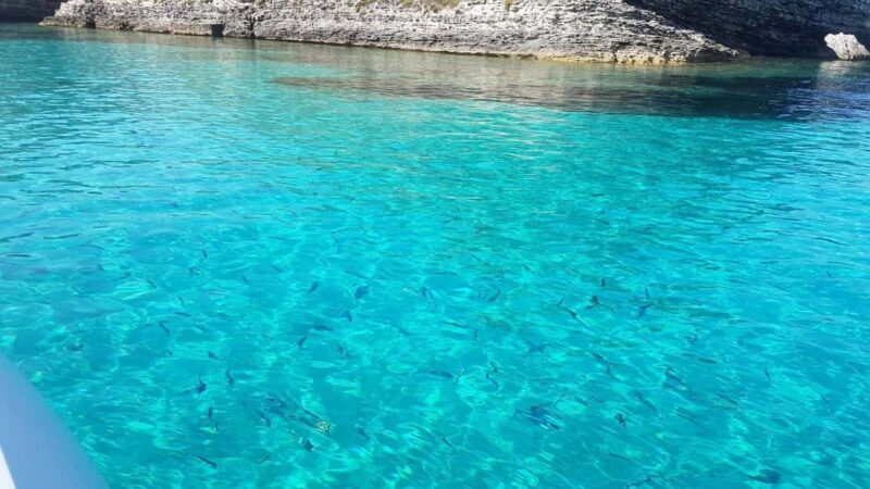 From Santa Teresa: Sailboat Tour to Corsica with Lunch - FAQ
