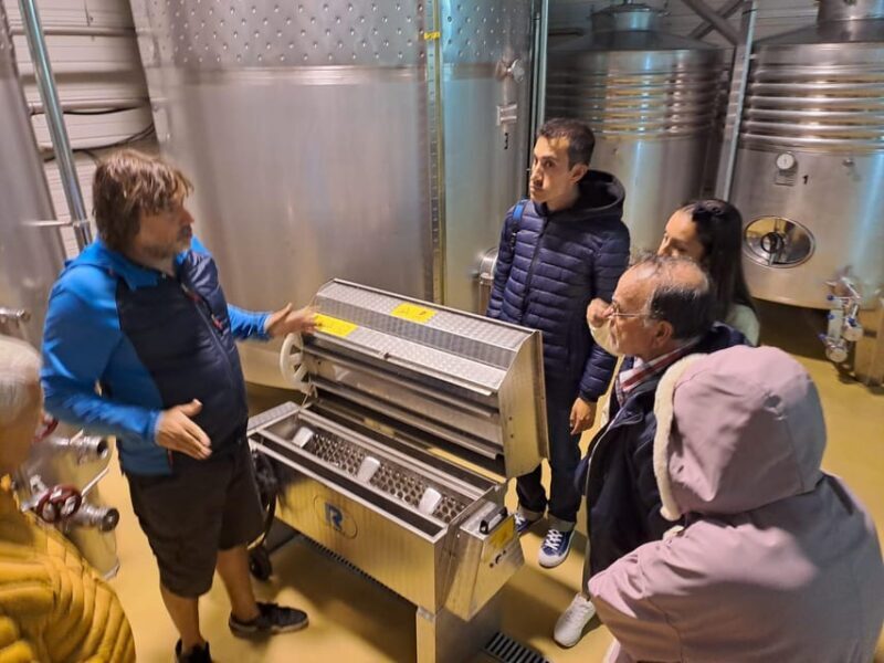 From Santander: Gastronomic Tour - The Sum Up