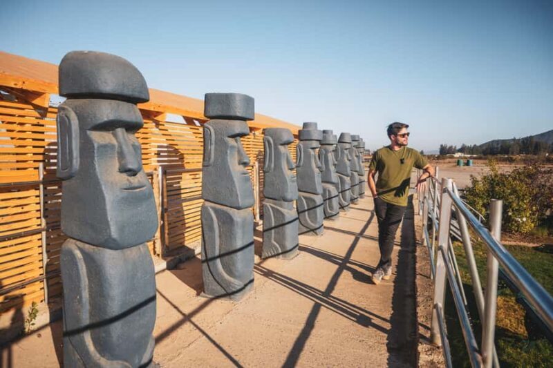 From Santiago: Casablanca, Valparaíso, Viña del Mar and Reñaca (art & sea) - Key Points