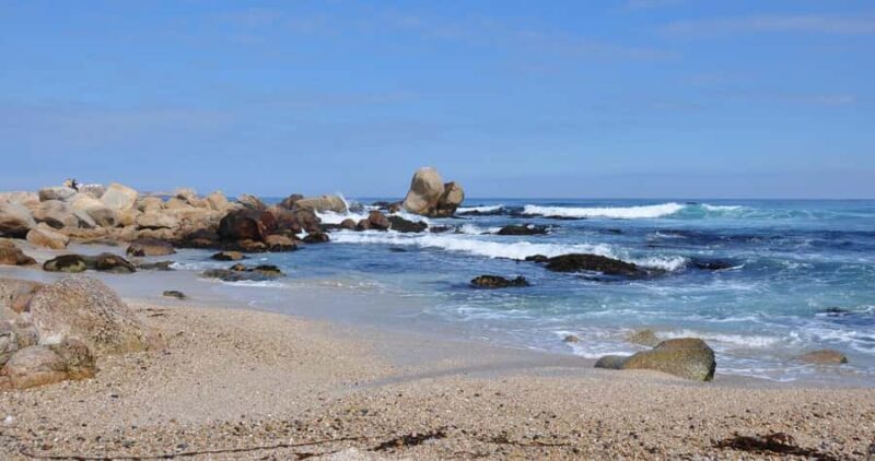 From Santiago: Isla Negra, Pablo Neruda Museum & Winery Tour - Exploring the Highlights of the Tour