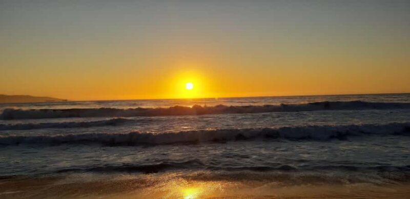 From Santiago: Isla Negra, Pablo Neruda Museum & Winery Tour - Who Should Consider This Tour?