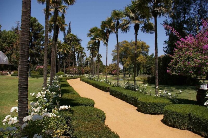 From Santiago: Maipo Valley Wine Tour - Who Should Consider This Tour?