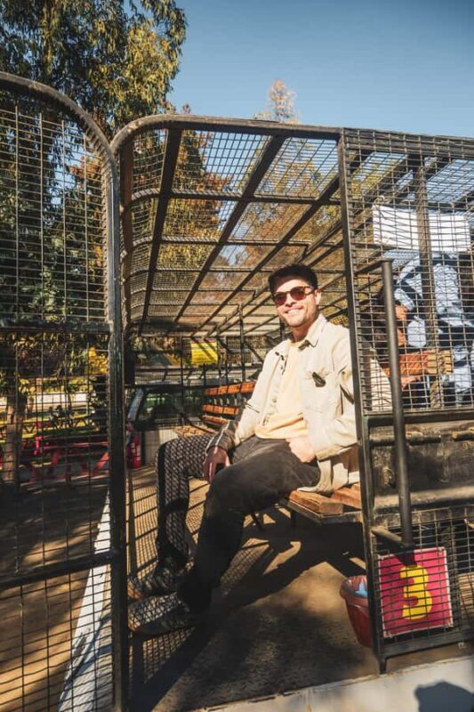 From Santiago: Rancagua Safari Park Zoo - Exploring the Rancagua Safari Park: A Genuine Wildlife Encounter