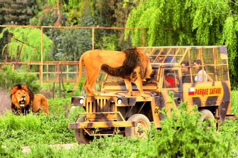 From Santiago: Safari Park, a wild experience - The Sum Up