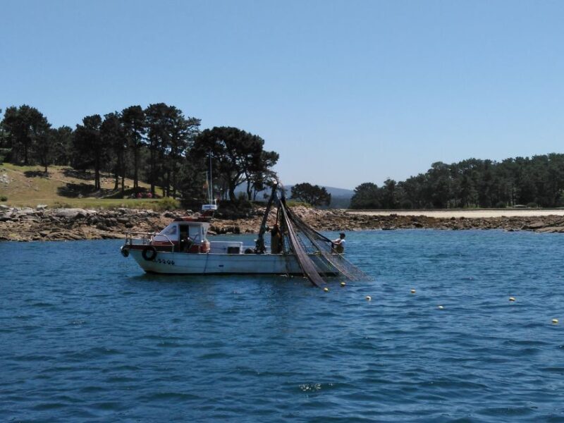 From Santiago: Tour Rias Baixas, Isla de Arousa y Combarro - Who Will Love This Tour?