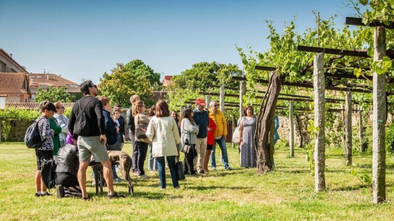 From Santiago: Tour to Rias Baixas with Boat Trip and Winery - The Sum Up