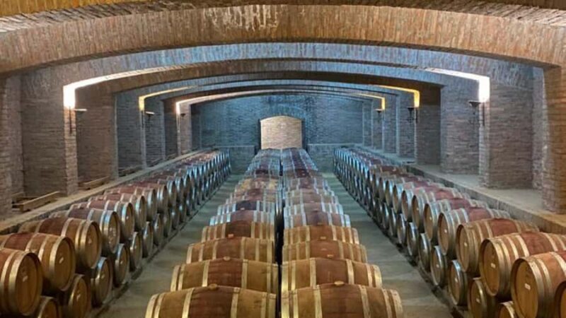 From Santiago: Undurraga Winery Tour with Tasting - From Santiago: Undurraga Winery Tour with Tasting – A Genuine Chilean Wine Experience