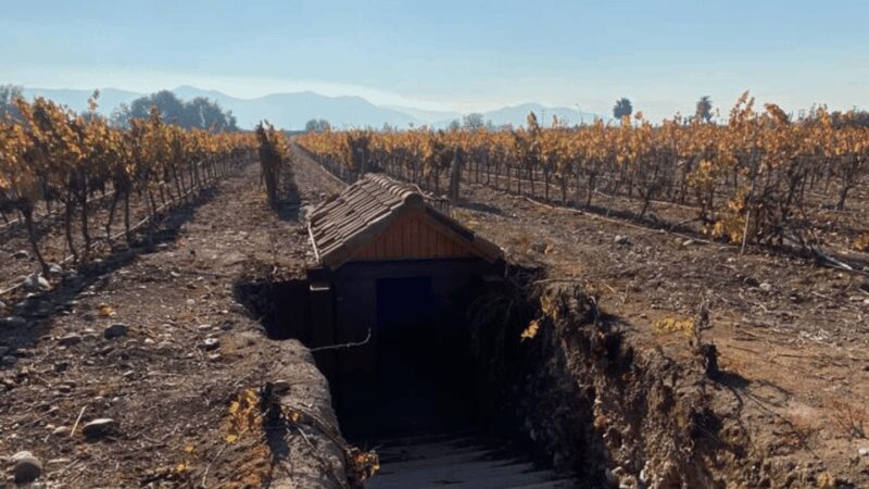 From Santiago: Undurraga Winery Tour with Tasting - FAQs