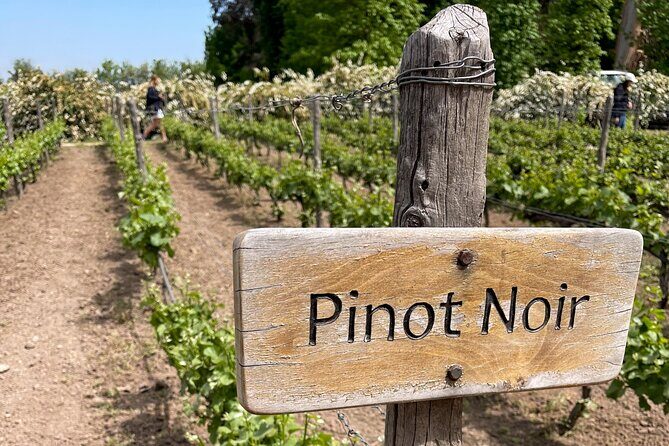 From Santiago: Viña Concha y Toro Traditional Half-Day Tour - FAQ