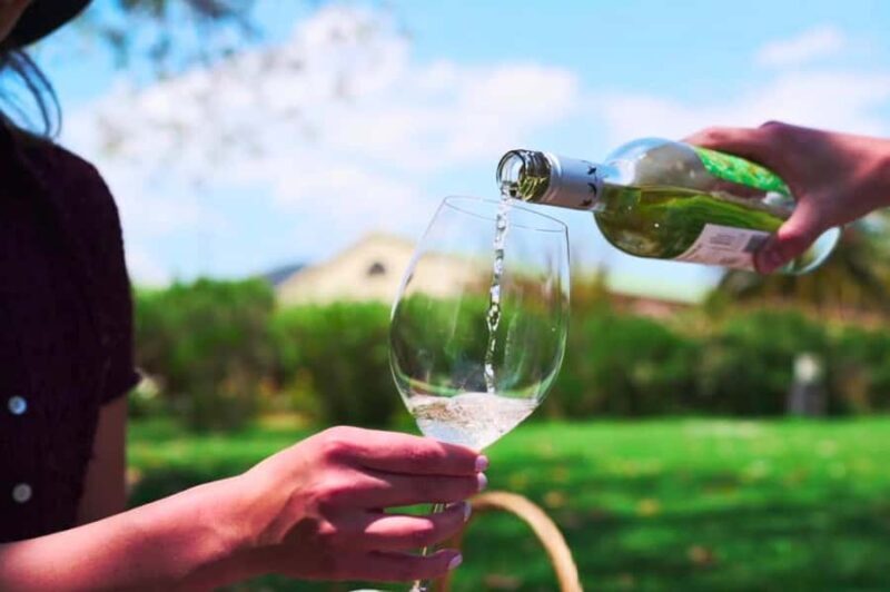 From Santiago: Vineyard, Valparaíso, and Viña del Mar Tour - Exploring Chile’s Central Coast: Vineyard, Valparaíso, and Vina del Mar Tour