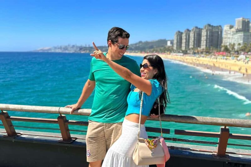 From Santiago: Vineyard, Valparaíso, and Viña del Mar Tour - Final Thoughts