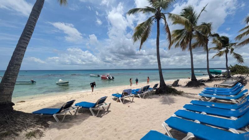 From Santo Domingo: Catalina Island Day Tour - Who is This Tour Best For?