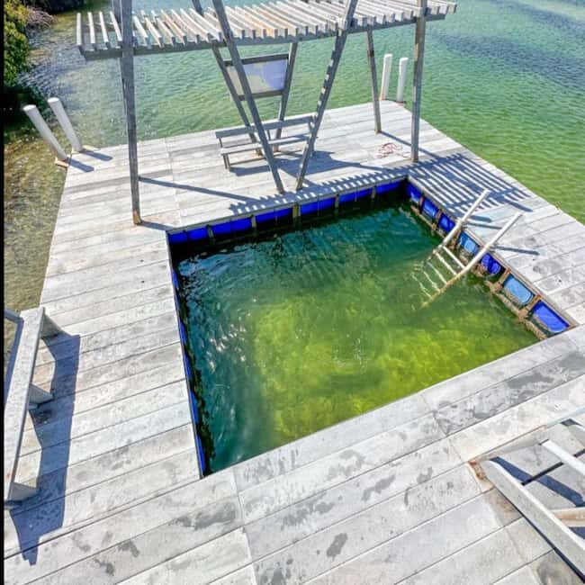 From Santo Domingo: Island Cabra & Grand Gossier Sandbank - Exploring the Untouched Beauty of Monte Cristi: Island Cabra & Grand Gossier Sandbank