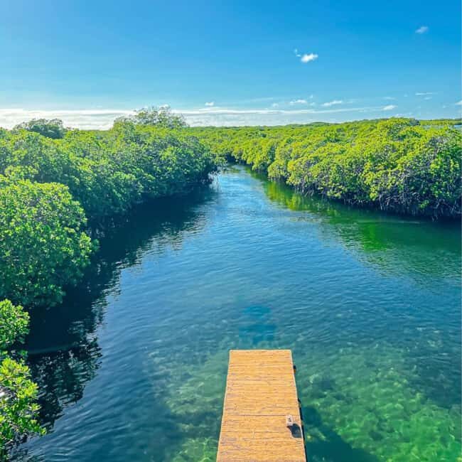 From Santo Domingo: Island Cabra & Grand Gossier Sandbank - Who Would Love This Tour?