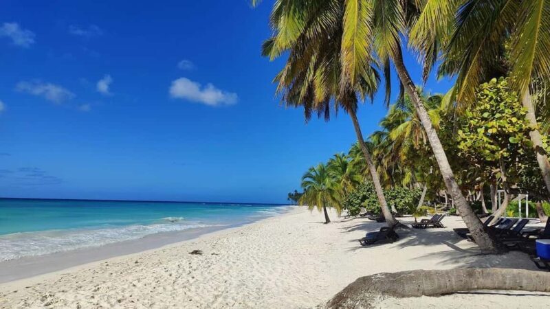 From Santo Domingo: Saona Island Tour with Lunch & Drinks - Practical Tips for the Tour