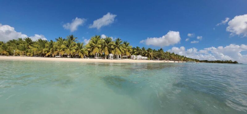 From Santo Domingo: Saona Island Tour with Lunch & Drinks - Is This Tour Right for You?