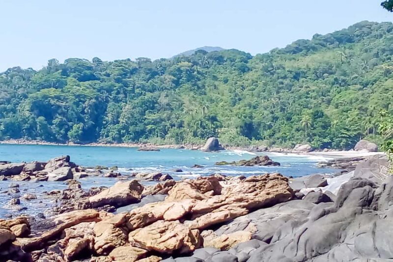 From São Paulo: Santo Amaro Island & Wild Beaches Day Trip - Who Should Consider This Tour?