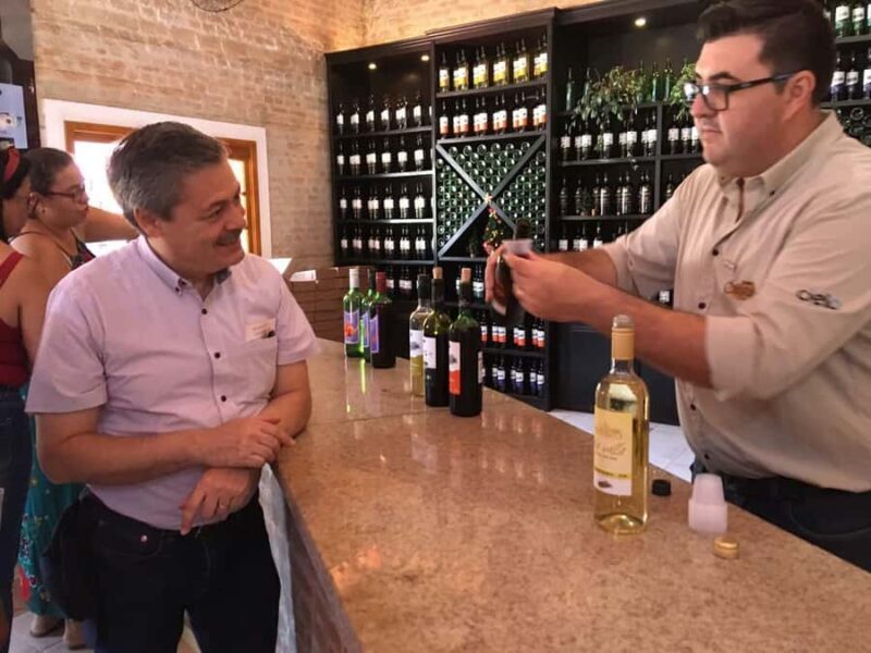 From São Paulo: São Roque Wineries Route and Shopping Tour - An In-Depth Look at the São Roque Wineries Route and Shopping Tour