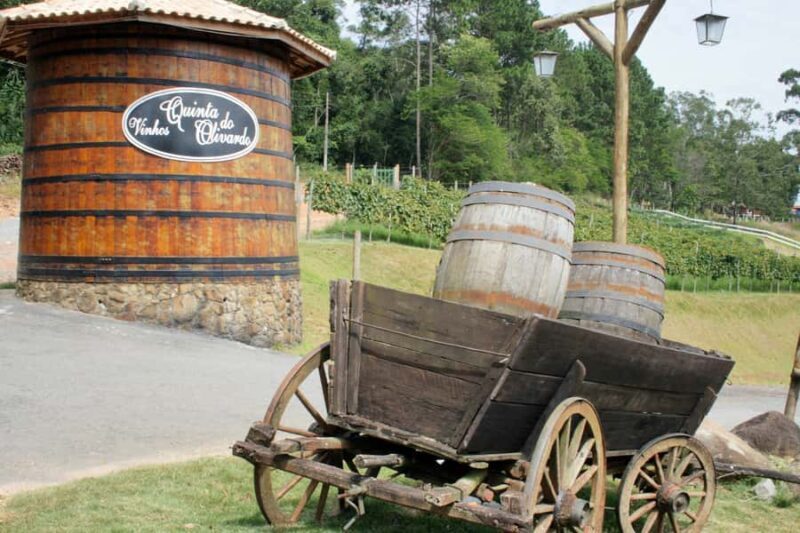 From São Paulo: São Roque Wineries Route and Shopping Tour - Who Should Consider This Tour?