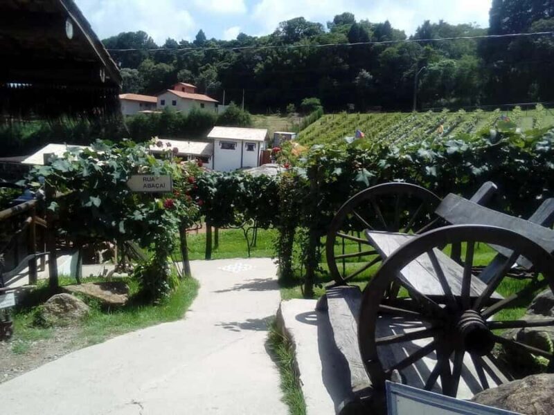From São Paulo: São Roque Wineries Route and Shopping Tour - Final Thoughts