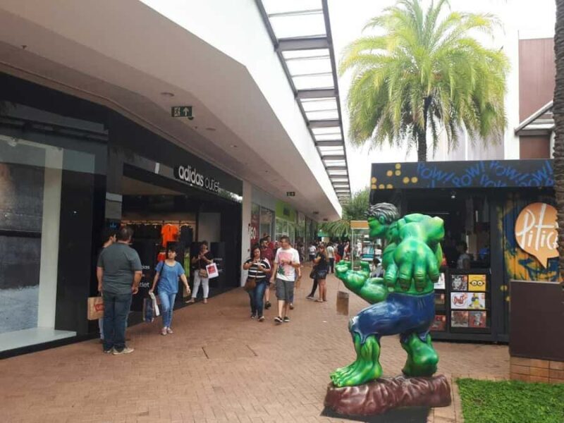 From São Paulo: São Roque Wineries Route and Shopping Tour - Frequently Asked Questions