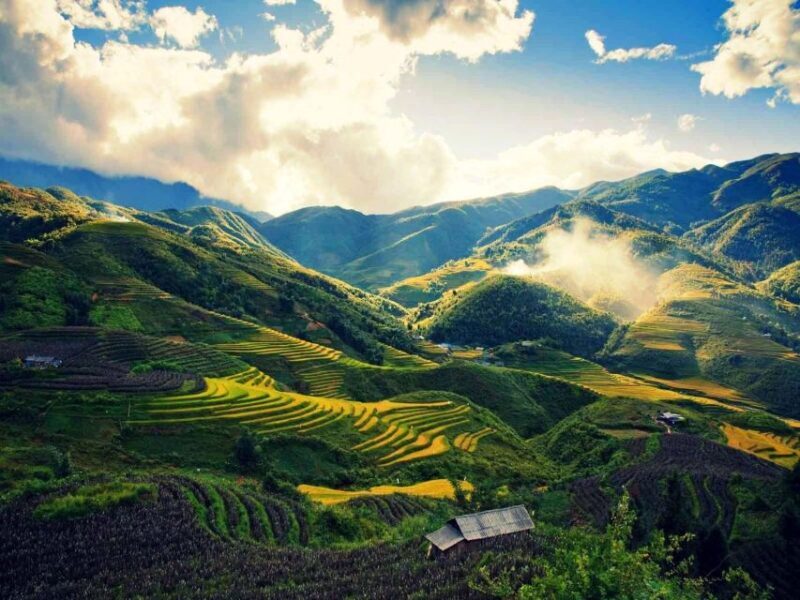From Sapa : 1 Day Amazing Sapa Trek To Terrace rice field - Practical Details and What They Mean for You