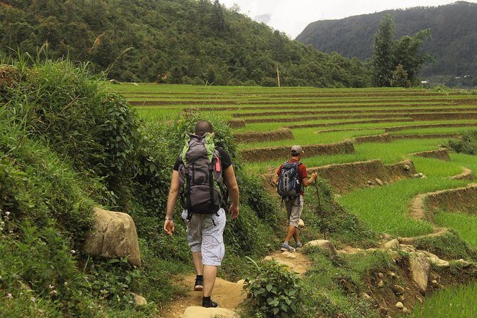 From Sapa: 2-Day Homestay trekking Tour - Exploring Sapa in Depth: What Makes This Tour Special