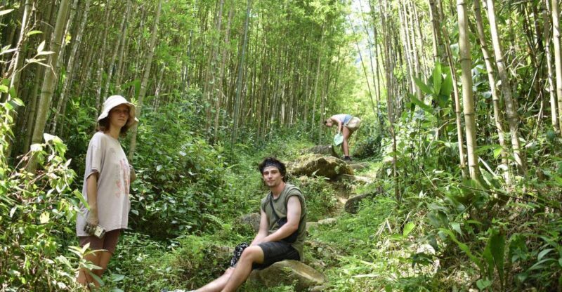 From Sapa: 2D1N Sapa Trekking Tour with Local Expert - From Sapa: 2D1N Sapa Trekking Tour with Local Expert