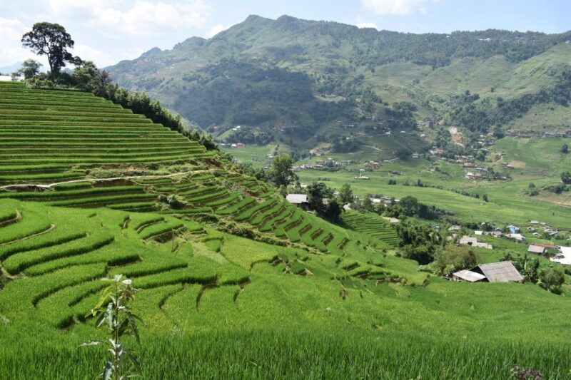 From Sapa: 2D1N Sapa Trekking Tour with Local Expert - Key Points