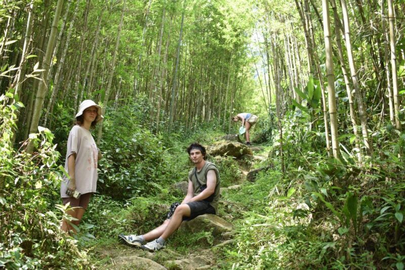 From Sapa: 2D1N Sapa Trekking Tour with Local Expert - Day Two: Exploring More Villages and Mountain Scenes