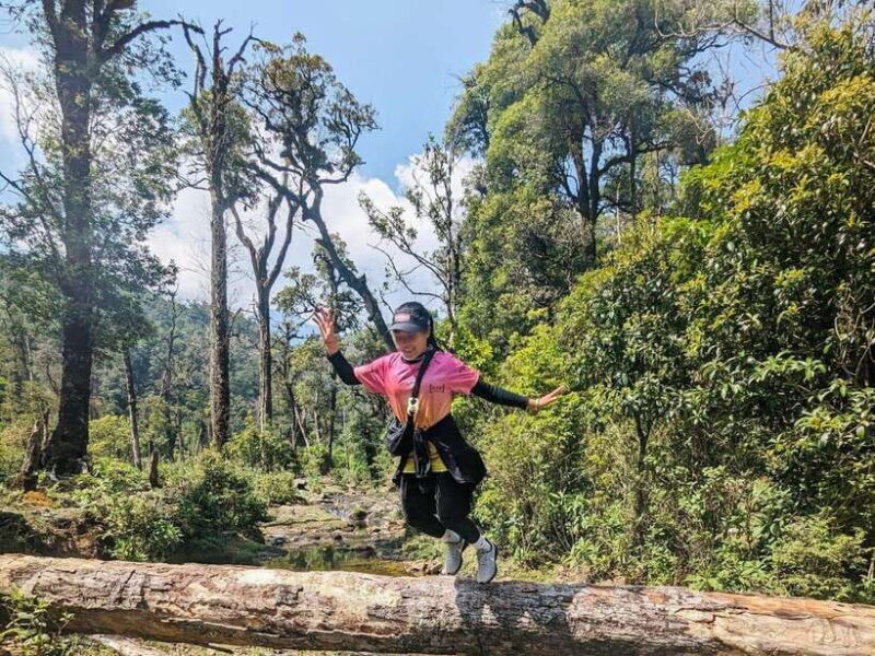 From Sapa: Fansipang Mountain Hike 1 Day - FAQ