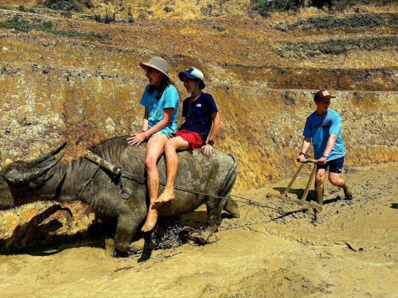 From Sapa: Full-Day Trekking Tour Lao Chai & Ta Van Villages - Exploring Northern Vietnam’s Treasured Landscapes: The Sapa Trekking Experience